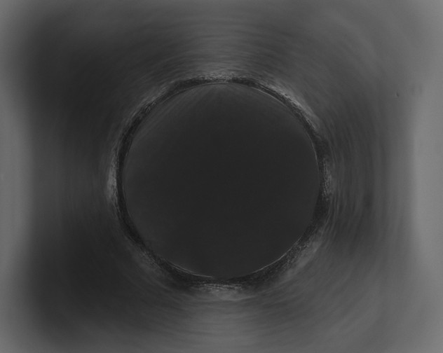 X0000100890681200807151057