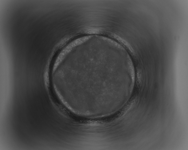 X0000100890682200807151057