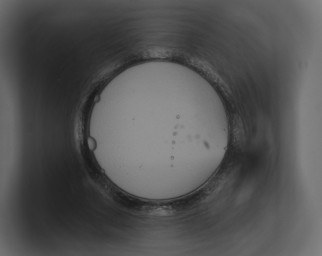 X0000100890683200807151057