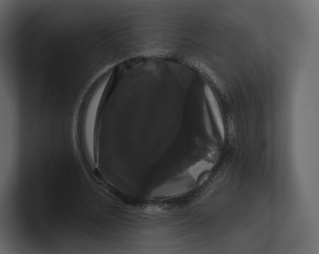 X0000100890684200807151057