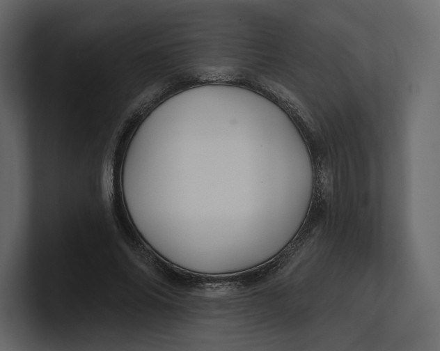 X0000100890686200807151057