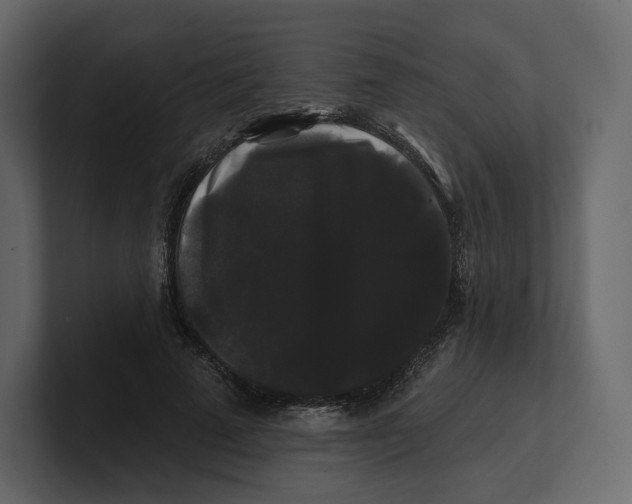 X0000100890689200807151057