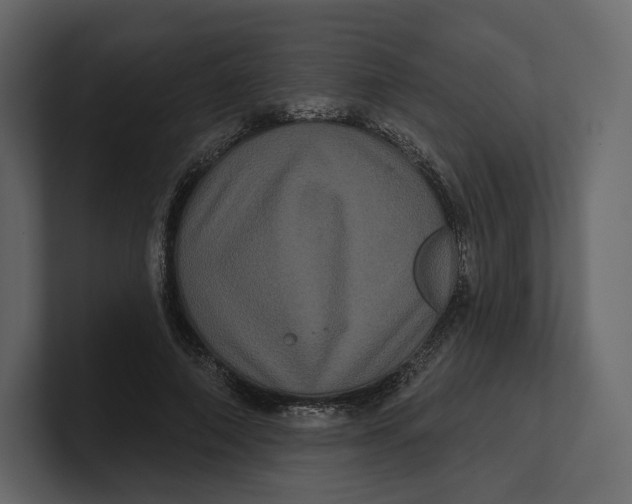 X0000100890690200807151057