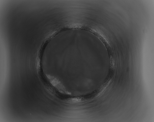 X0000100890692200807151057