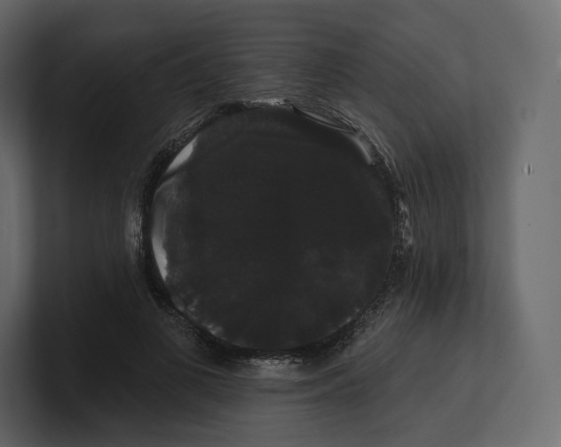 X0000100890693200807151057