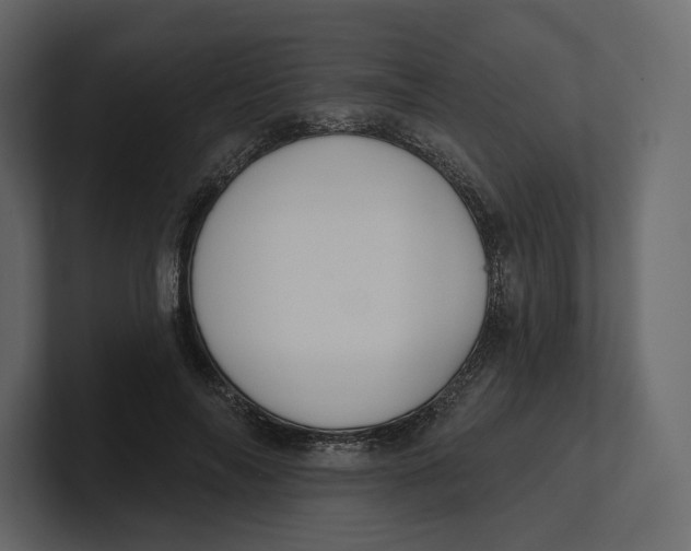 X0000100890694200807151057