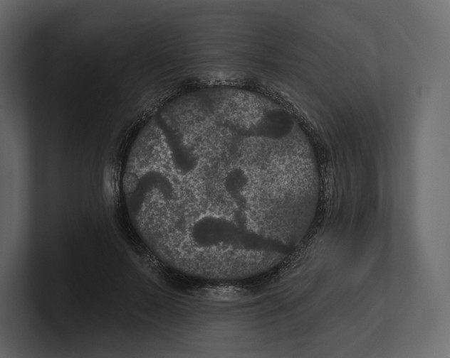 X0000100890695200807151057