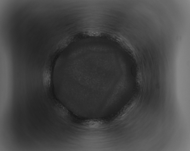 X0000100890697200807151057