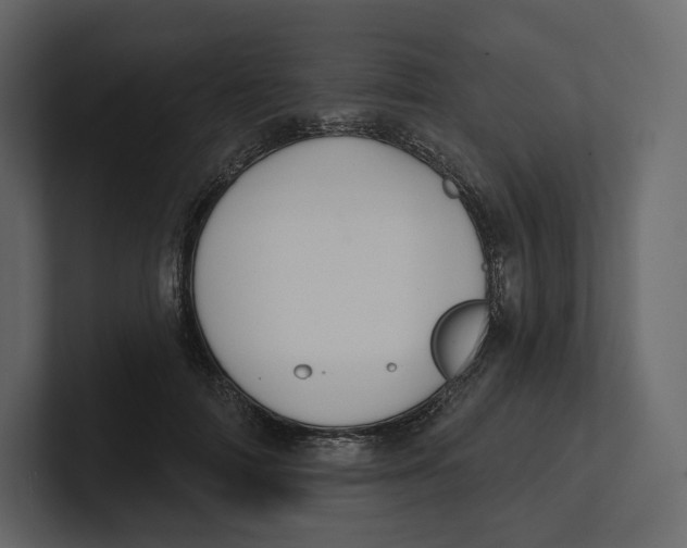 X0000100890698200807151057