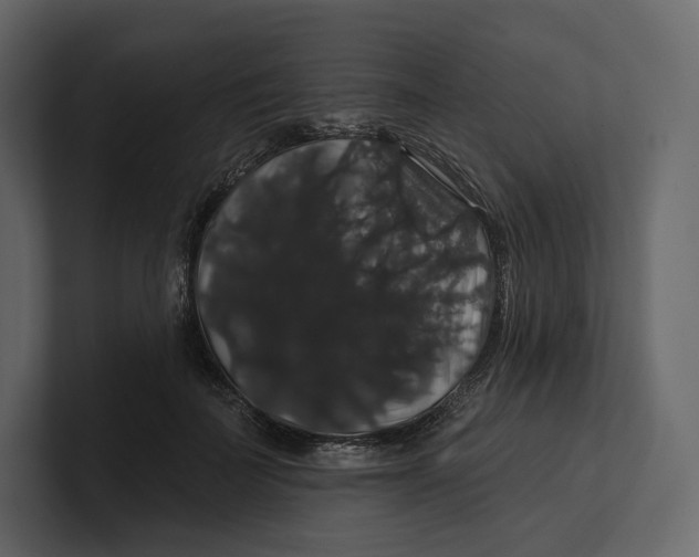 X0000100890699200807151057