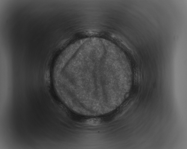 X0000100890700200807151057