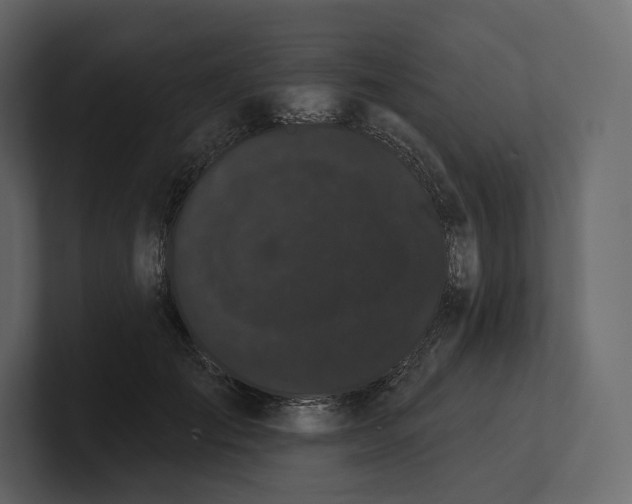 X0000100890701200807151057