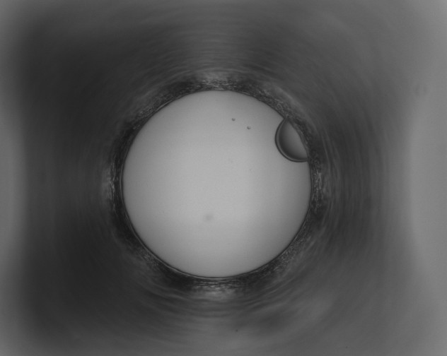 X0000100890702200807151057