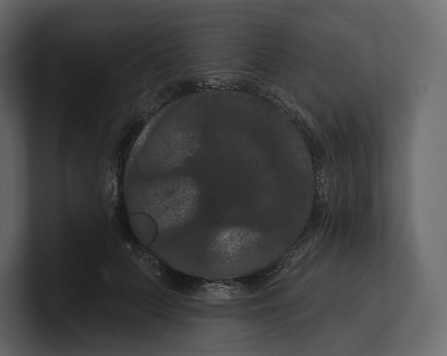 X0000100890703200807151057