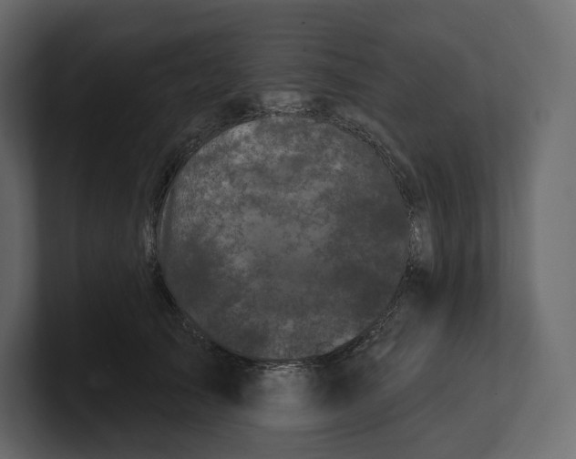 X0000100890705200807151057