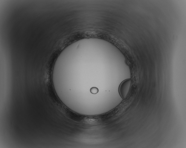 X0000100890706200807151057