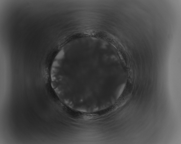 X0000100890707200807151057