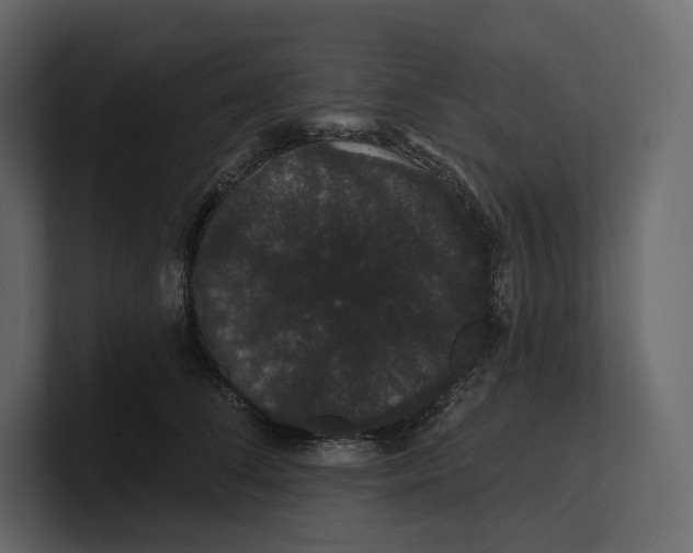 X0000100890708200807151057