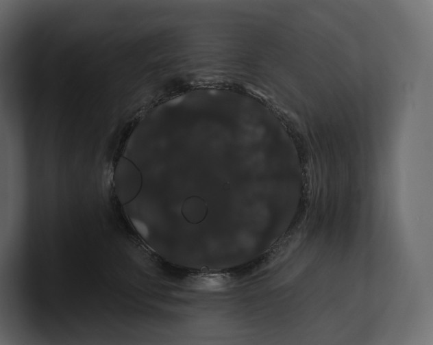 X0000100890711200807151057