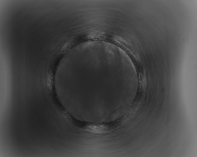 X0000100890712200807151057