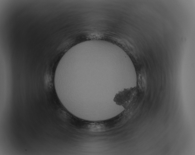 X0000100890714200807151057