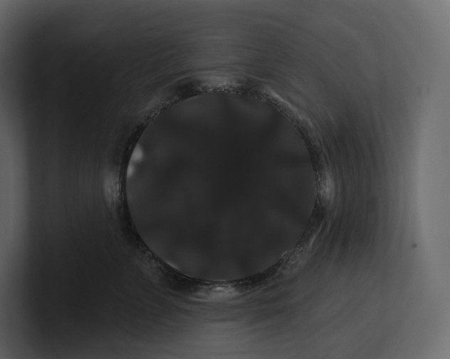 X0000100890715200807151057