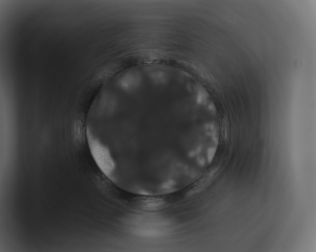 X0000100890719200807151057