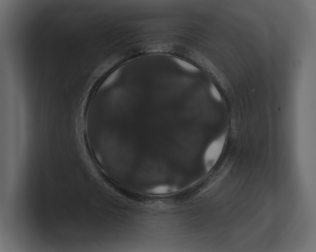 X0000100890721200807151056