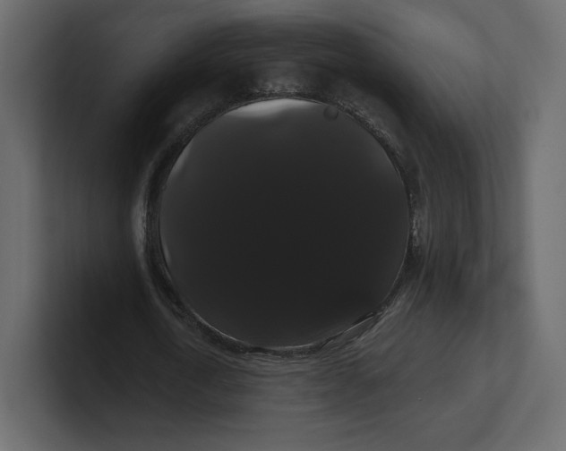 X0000100890722200807151056