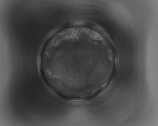 X0000100890725200807151056