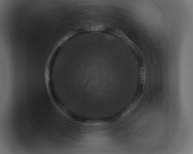 X0000100890726200807151056