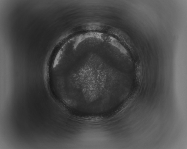 X0000100890727200807151056