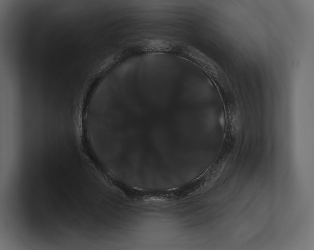 X0000100890729200807151056