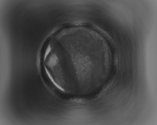 X0000100890730200807151056