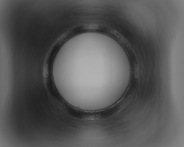 X0000100890731200807151056