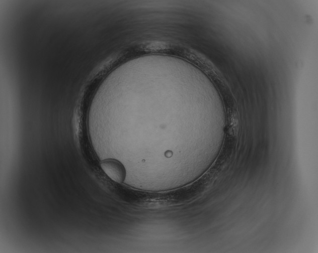 X0000100890732200807151056