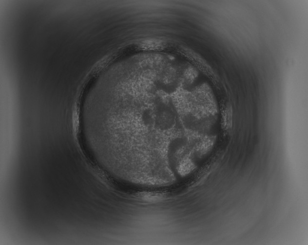 X0000100890733200807151056