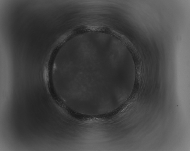 X0000100890734200807151056