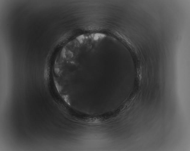 X0000100890735200807151056