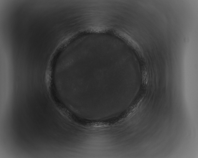 X0000100890736200807151056