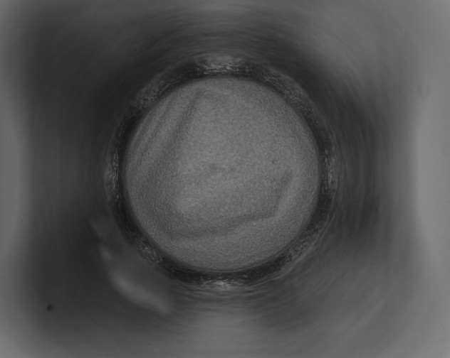 X0000100890737200807151056