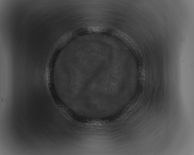 X0000100890738200807151056