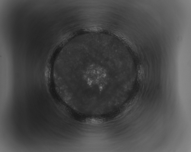 X0000100890739200807151056