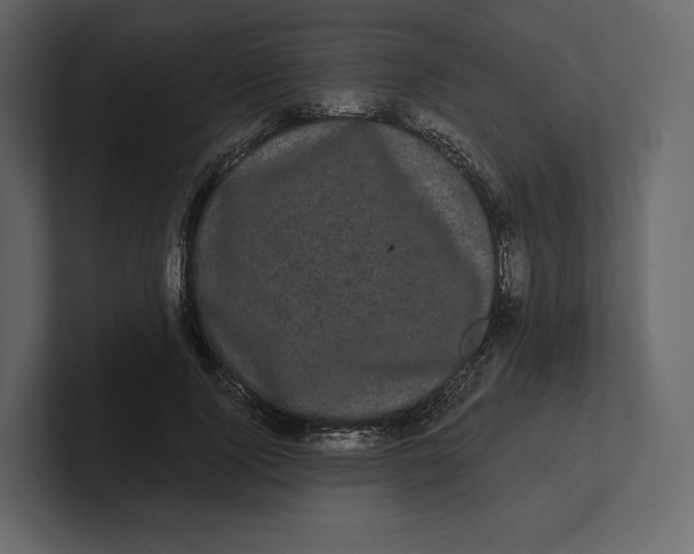 X0000100890740200807151056