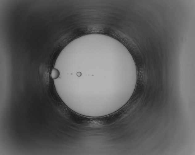 X0000100890741200807151056