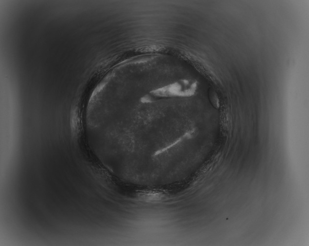 X0000100890743200807151056