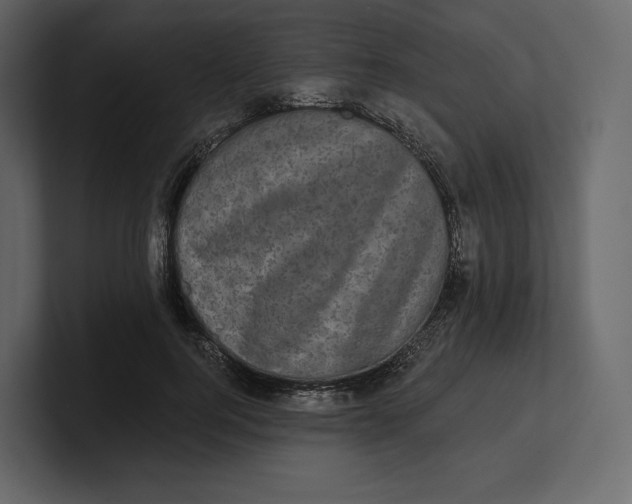 X0000100890744200807151056