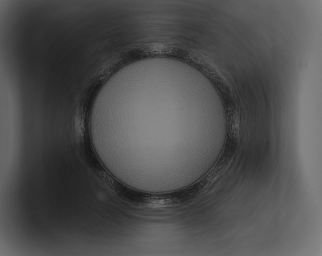 X0000100890746200807151056