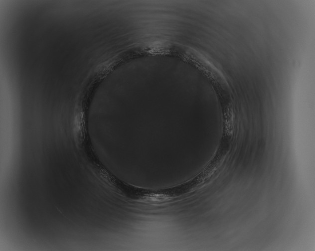 X0000100890748200807151057