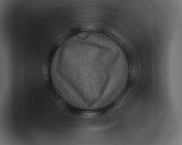 X0000100890749200807151057